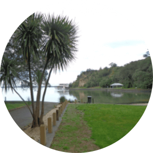 Off leash dog park in Auckland-Craigavon Park