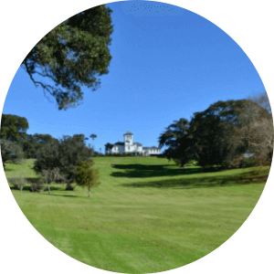 Off leash dog park in Auckland-Monte Cecilia Park