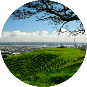 Off leash dog park in Auckland-Mt Eden Dog Park