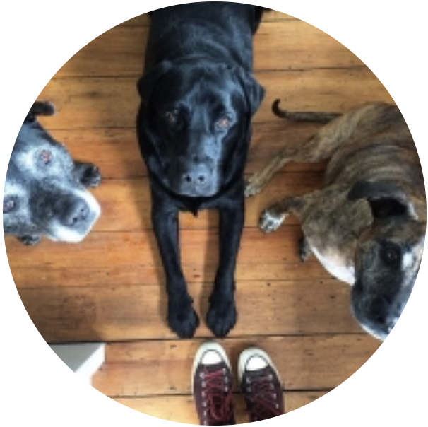 NICCE, PIRATE, SHADOW & BONKERS