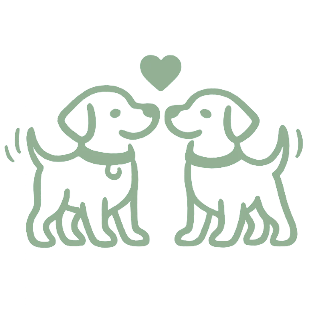 Friendly towards other dogs